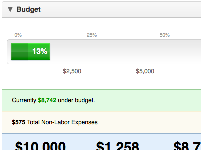 Budget clean graphs project ui ux