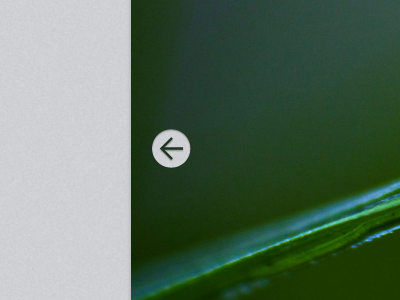 The Back Button arrow back button left website