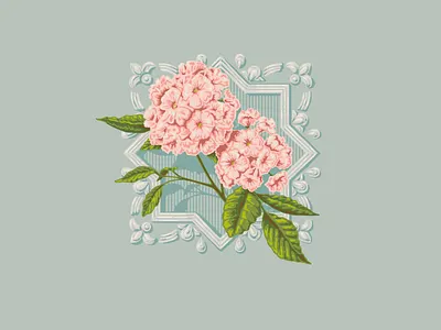 Delicate Pink Floral delicate feminine floral flowers illustration nature plants pretty