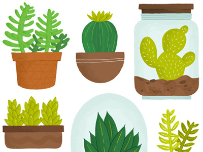 Terriarium blue cacti cactus collection green illustration plants succulents