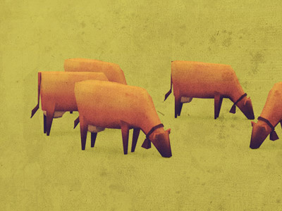 3d Cows 3d blender cow