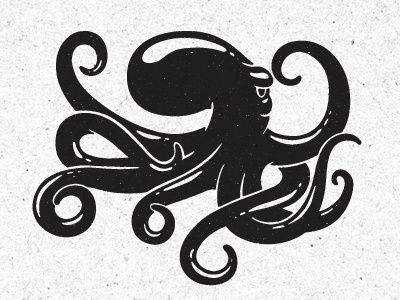 Octopus illustration octopus