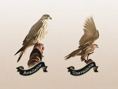 Availability availability freelance portfolio