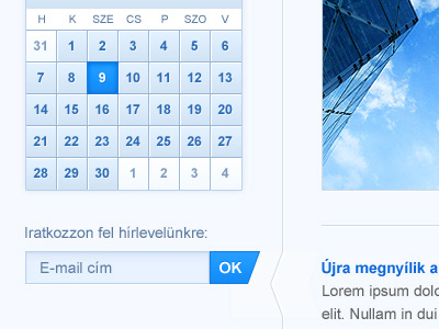 Website Layout blue form gui input web