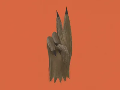 Two 2 claw fur hand illustration two