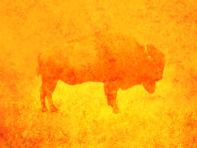 "Fall" - Designers.MX Cover Design album autumn bison buffalo cover art design fall music orange