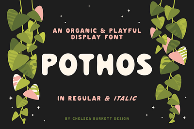 Pothos Display & Notes Fonts display font houseplant houseplants note font plant illustration playful type pothos pothos font pothos plant whimsical type