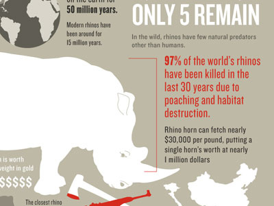 Rhino Graphic brown charts endangered extinction graph illustration infographic money red rhino rhinoceros tan white wild wildlife world