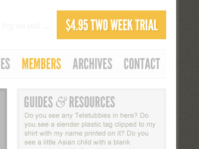 A Thing For A Thing guerrilla freelancing orange slipsum top secret