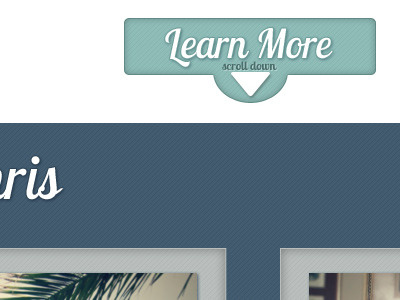 More Adoption site. Scrolling site aqua blue button scroll texture typography