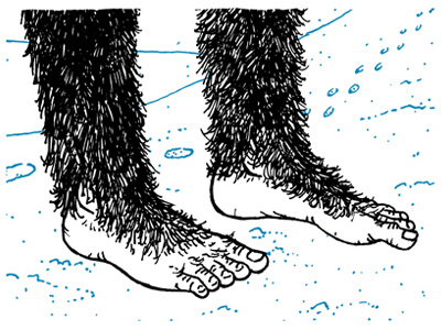 Yeti Feet book illustration