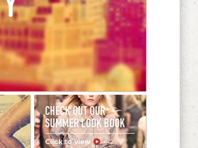 It's summer again! grid photography style web