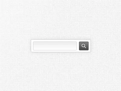 Search Box box input search simple white