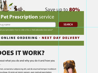 Online Vet Prescriptons dog ecommerce vet