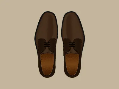 Fancy shoes. brown illustration leather shoes
