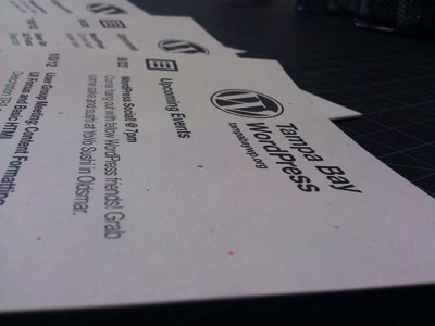 Tampa Bay WordPress Info Flyers events flyers helvetica wordpress