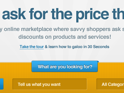 Landing Page bold form input field