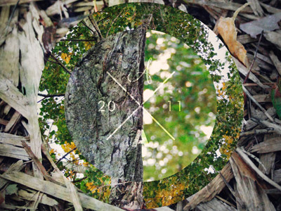 Autumn Anthology Art autumn bark collage fall green jonathan myers play trees woods