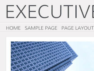 Executive Reboot emboss frame genesis gray wordpress