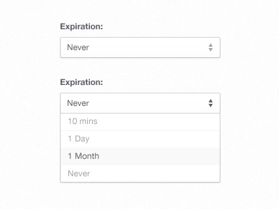 Expiration drop down menu select menu