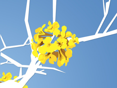 Araguaney araguaney branches caribbean flower gold tree nature tree tropical trumpet tree venezuela yellow
