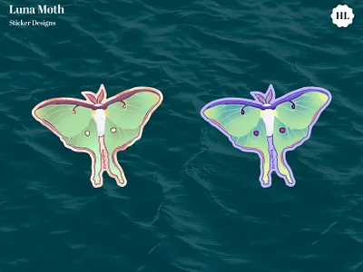 Luna Moth Sticker Design design illustration luna moth moth sticker stickers vector