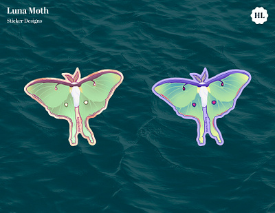 Luna Moth Sticker Design design illustration luna moth moth sticker stickers vector