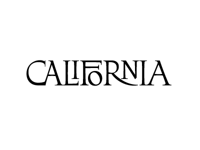 New Typeface Idea interlock roman serif