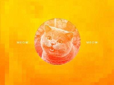 Meow cat circle happy meow milk paws