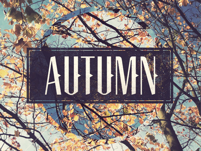 Autumn autumn