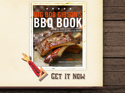 Book Ad for BBQ Website brown grunge interface texture vintage wood