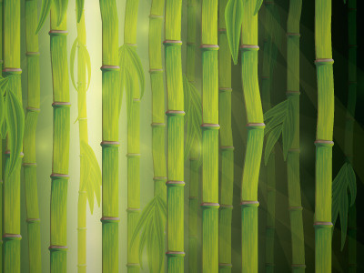 Vector Bamboo brush illustration illustrator vector