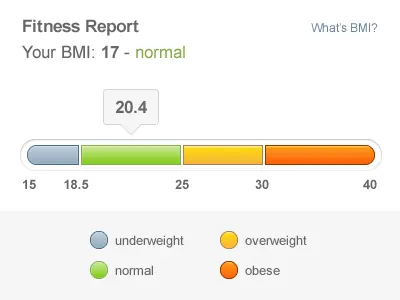 BMI Chart blue bmi chart chart fireworks fitness graph green infographic red vector weight yellow