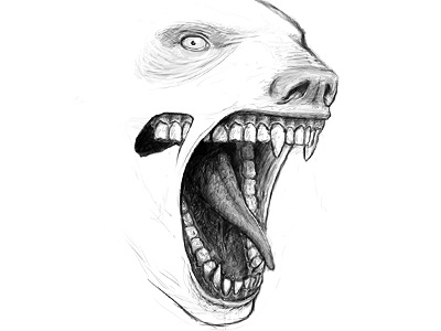 Monster Bear bear digital monster photoshop sketch