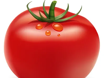 Tomato garden gardening green grow growing harvest healthy homegrown large leaf nature ood outdoors plant produce rain red ripe ripened stems sun sunlight tomato vegetable vine wet