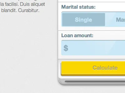 Current iteration app css3 finance tool ui