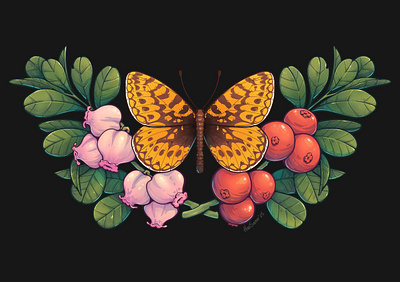 Boloria freija and bearberry berry botanic botany butterfly entomology illustration insect nature