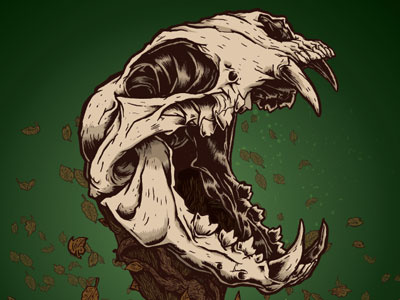 LynxLynx illustration poster skull