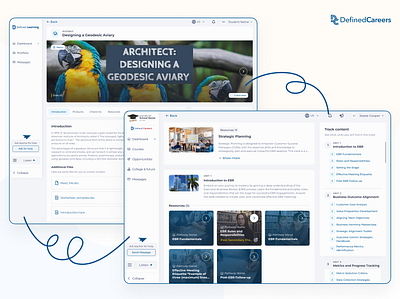 DefinedCareers #2 app app design design e learning e lesson edtech graphic design learning platform lms software development ui ui design uiux
