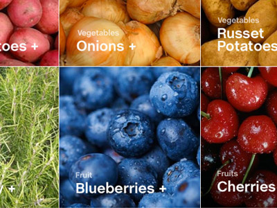 Food food grid ingredients list options