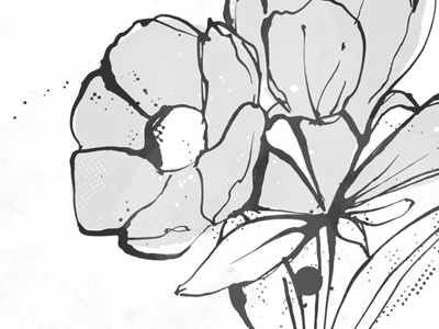 Flower. illustration ink quill texture