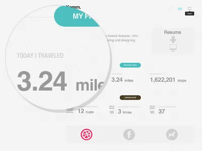 Profile page buttons contact design helvetica minimal mobile navigation portfolio slide ui ux web white