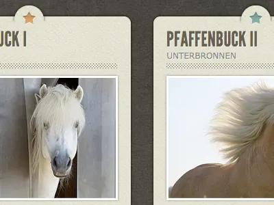 section teasers horses league gothic textures website