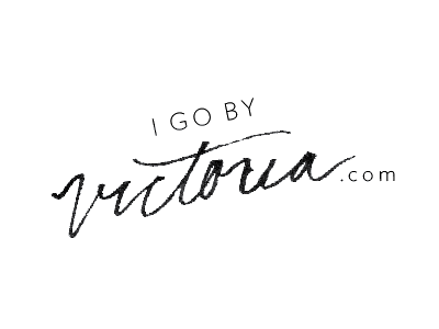Logo Option ink logo logotype paint photographer photography