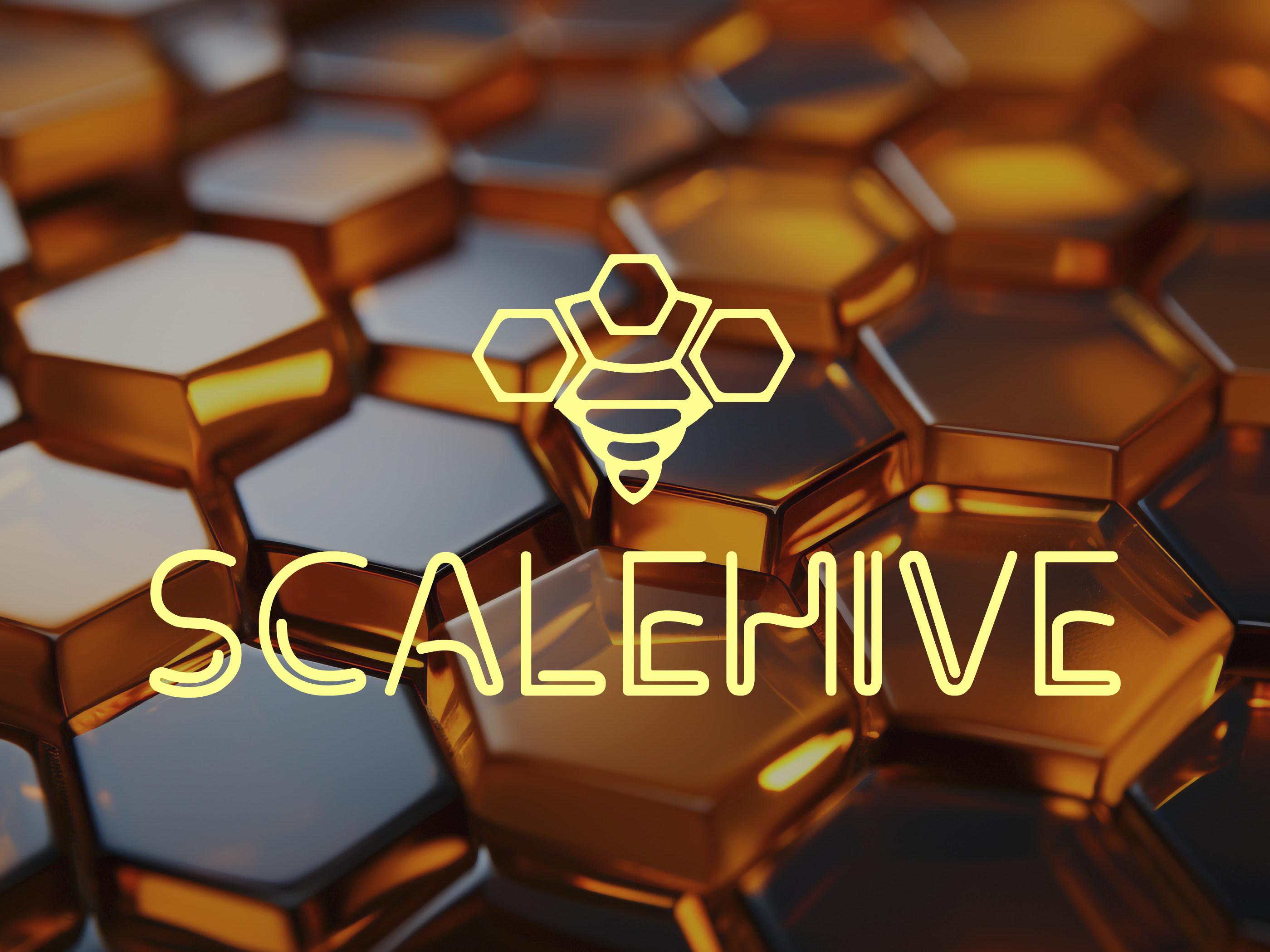 Example of Logo Design