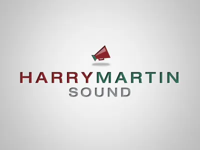 Harry Martin Sound logo concept logo design indentity