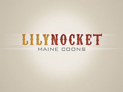 Lilynocket logo concept identity logo logo concept