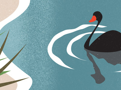 Swan illustration nature retro