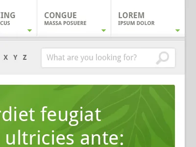 Ferns green grey ui website