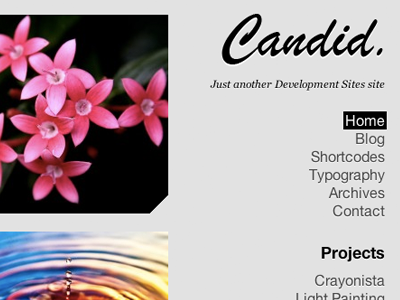 Candid navigation wip wordpress